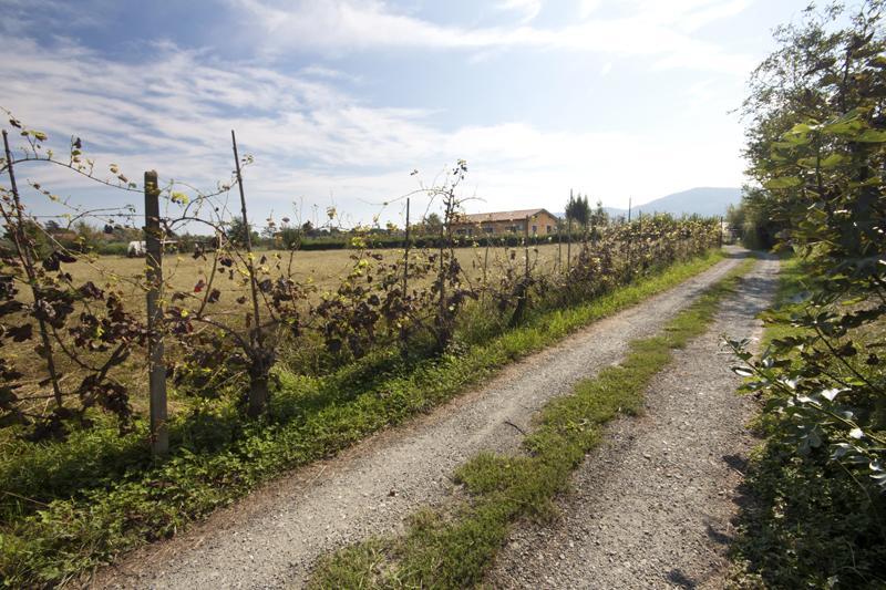 L'Ortobio Villa Sarzana Kültér fotó